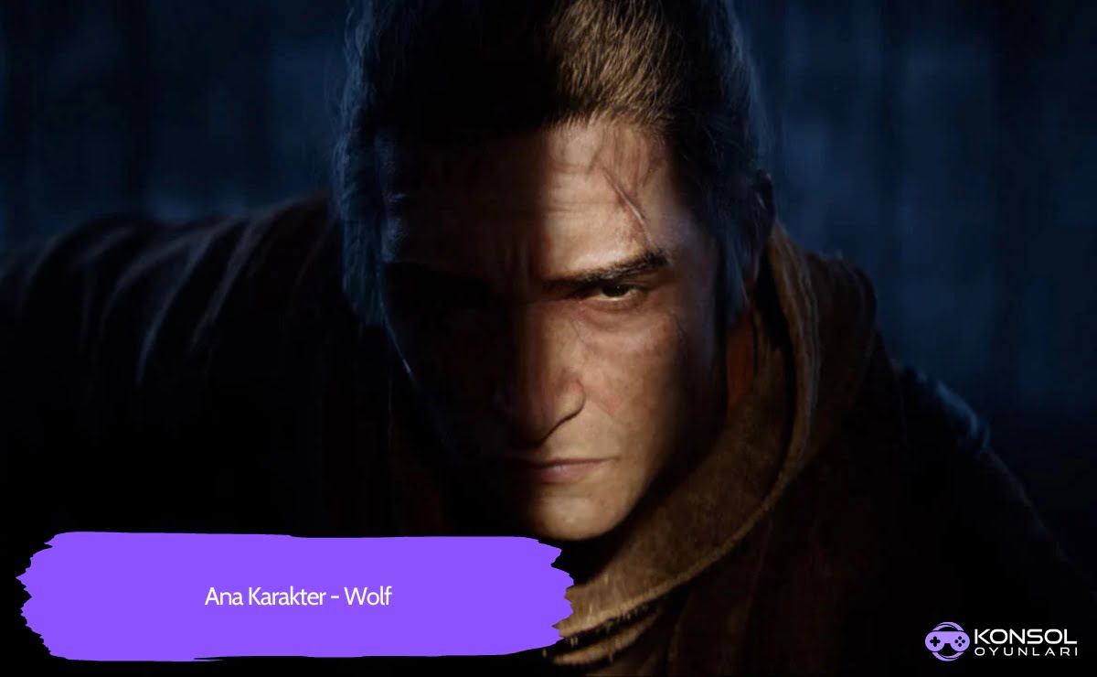 Sekiro Shadows Die Twice Ps4, hakkındaki bilgiler