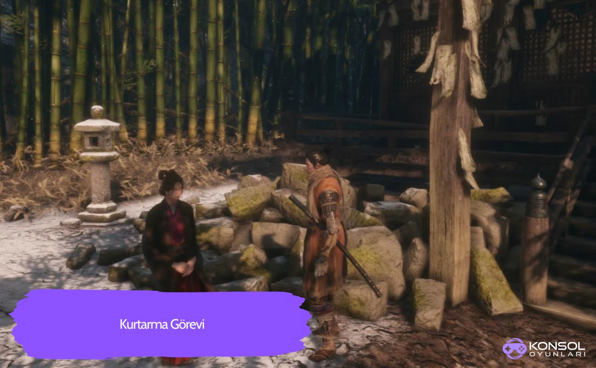 Sekiro Shadows Die Twice Ps4, hakkındaki bilgiler