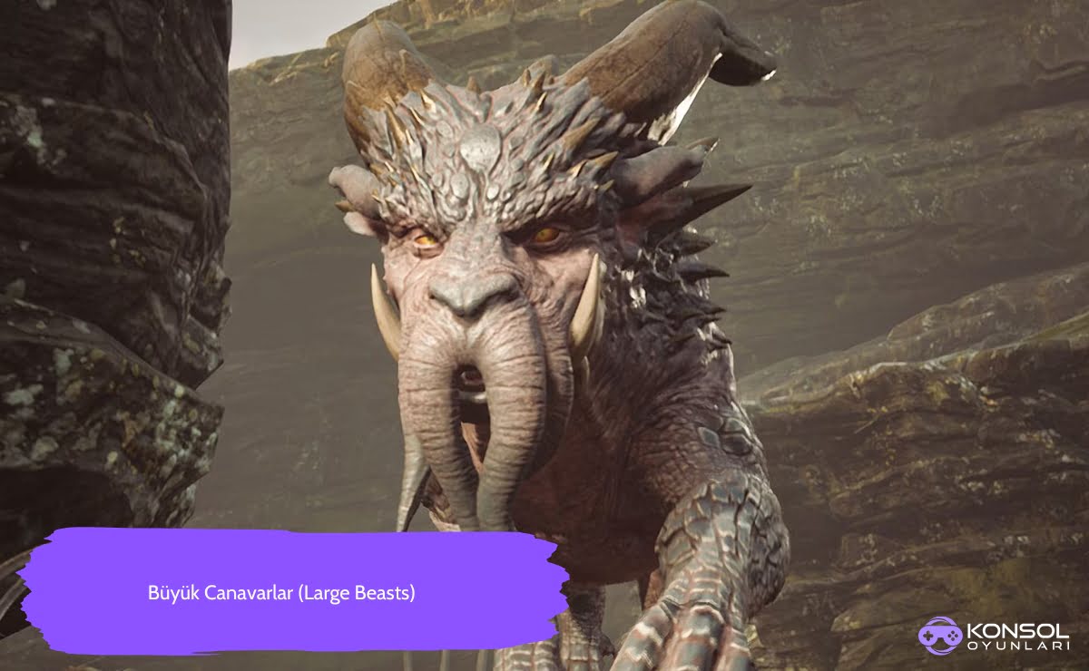 Hogwartz Legacy Ps4 & Ps5, hakkındaki bilgiler