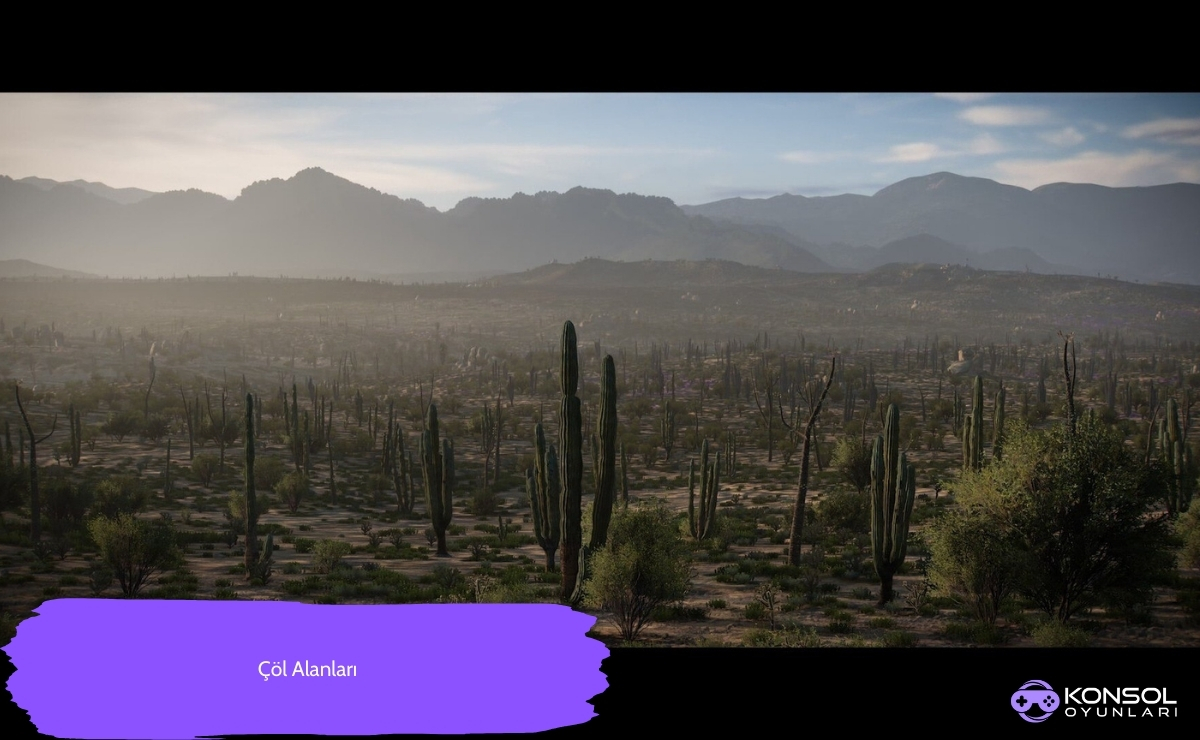 Forza Horizon 5 Harita Bölgeleri 