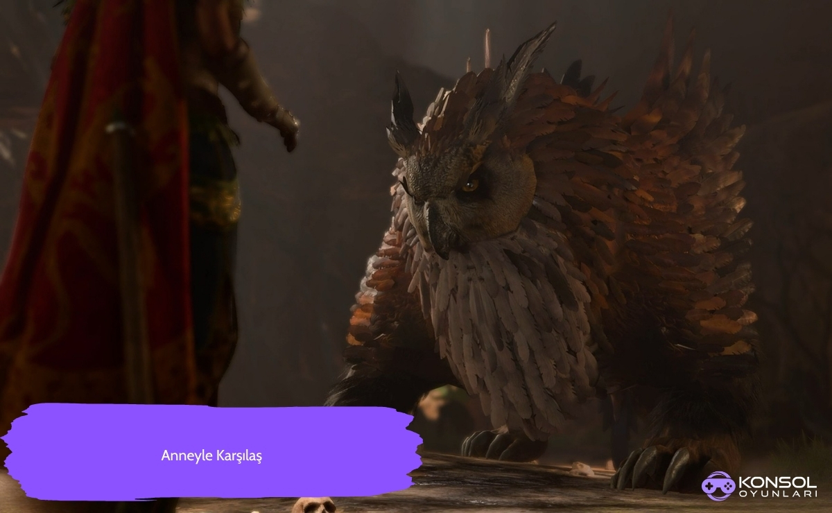 Baldur’s Gate 3 Ps5 Baykuş Ayı Yavrusu