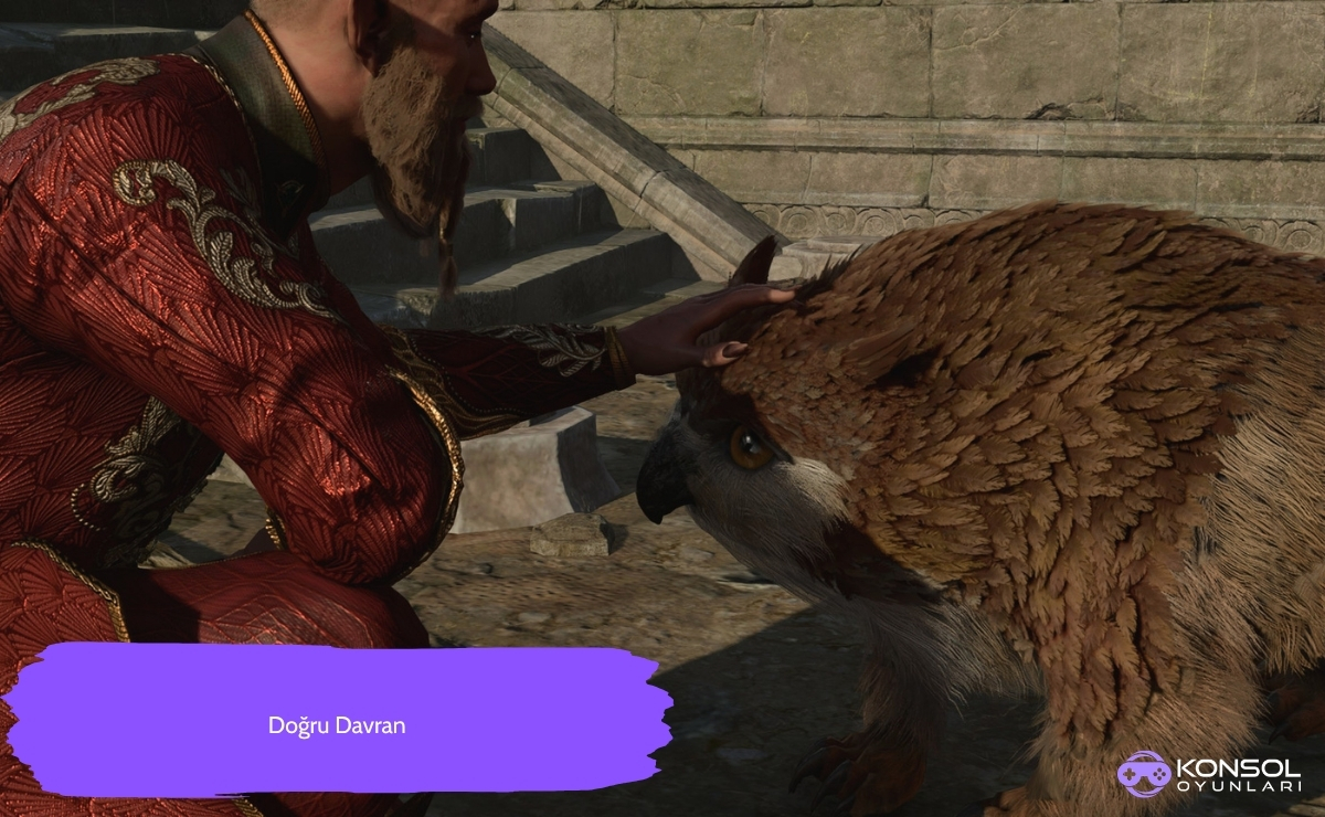 Baldur’s Gate 3 Ps5 Baykuş Ayı Yavrusu