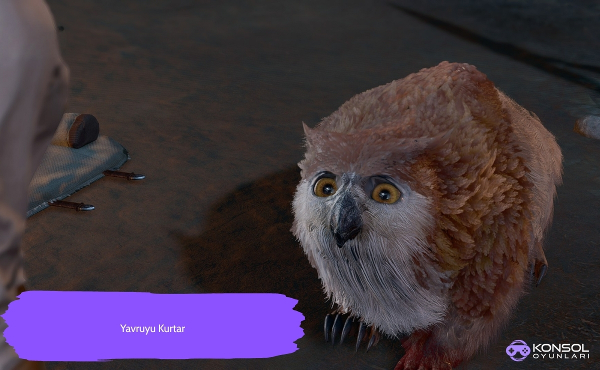 Baldur’s Gate 3 Ps5 Baykuş Ayı Yavrusu