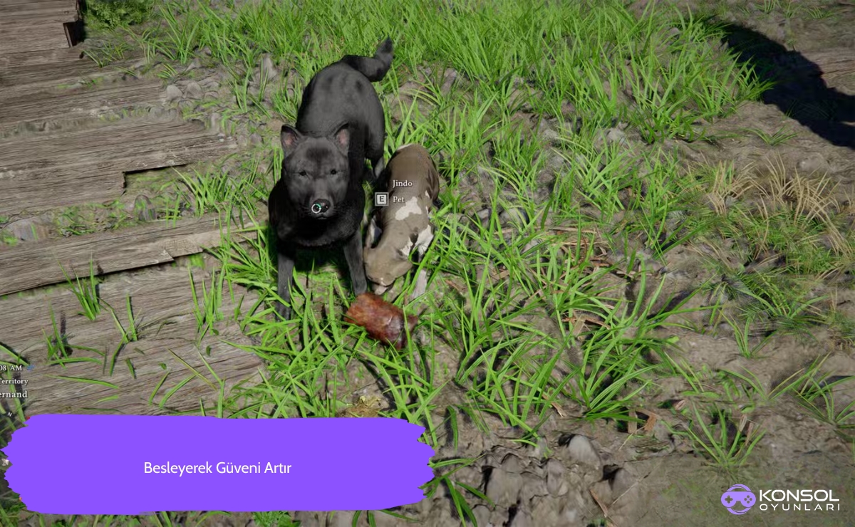 Crimson Desert Ps5’te Evcil Hayvanları Elde Etme