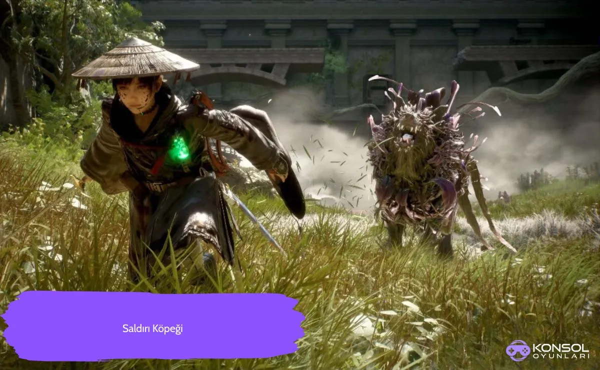 Beast of Reincarnation Ps5 Emma’nın Yetenekleri
