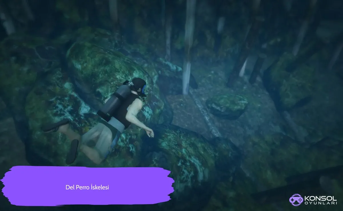 GTA 5 Ps4&Ps5 Peyote Bitkileri Konumu