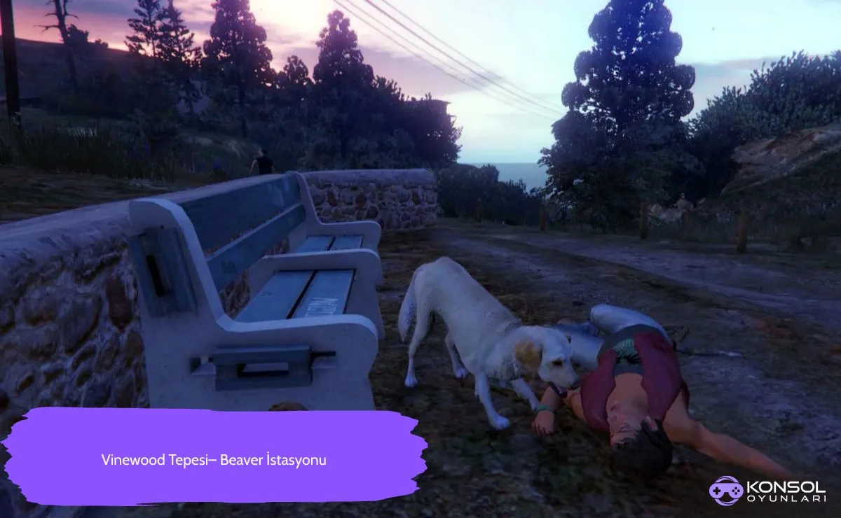GTA 5 Ps4&Ps5 Peyote Bitkileri Konumu