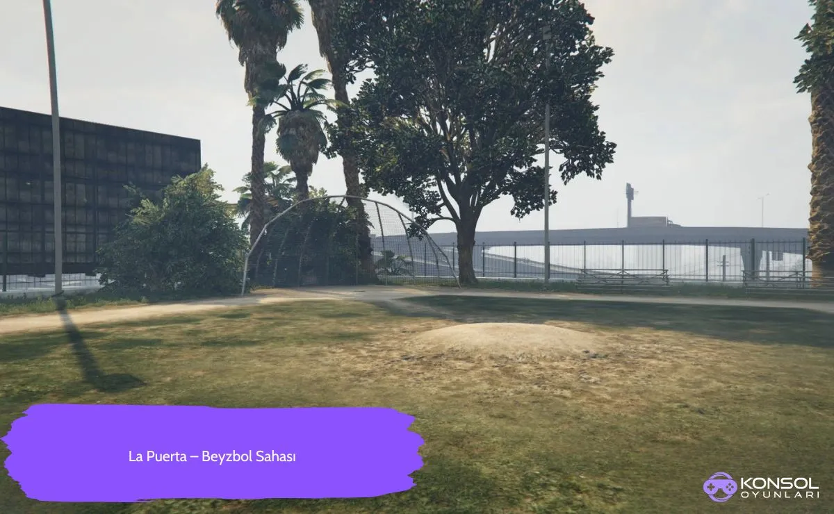 GTA 5 Ps4&Ps5 Peyote Bitkileri Konumu
