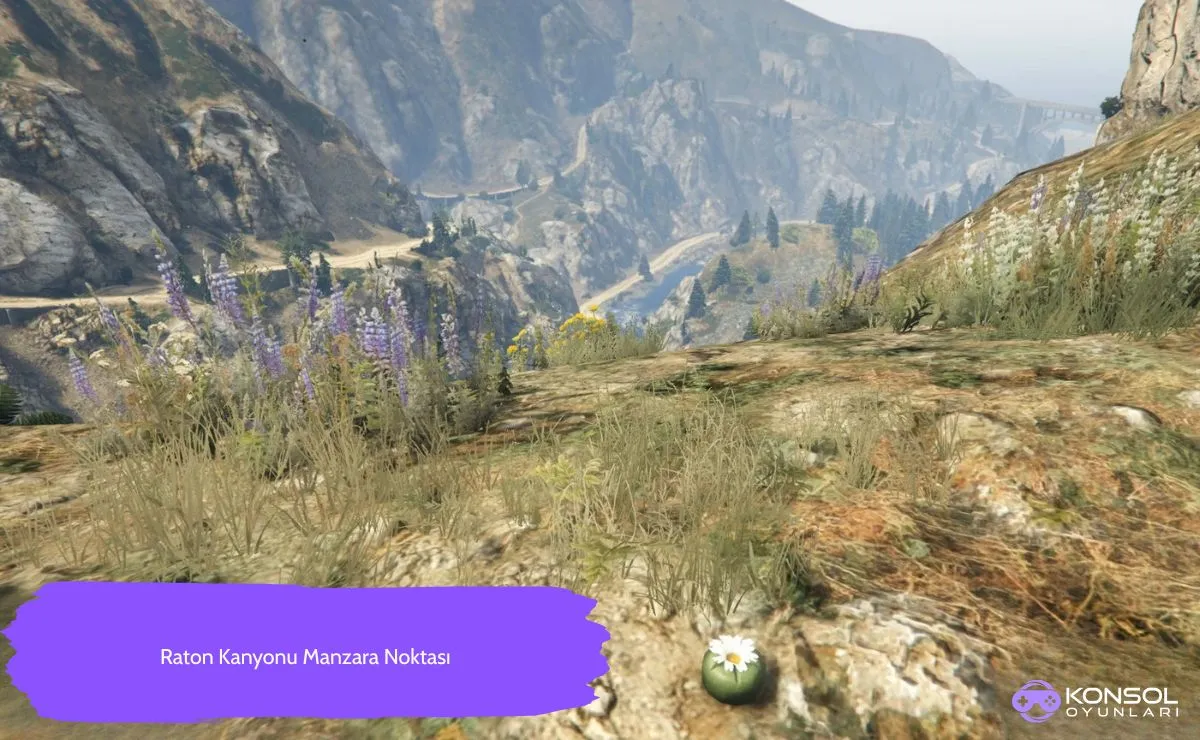 GTA 5 Ps4&Ps5 Peyote Bitkileri Konumu