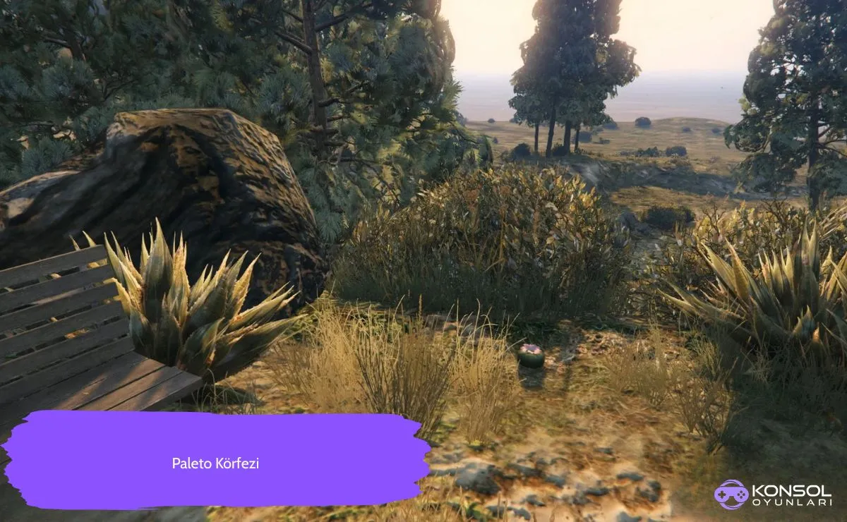 GTA 5 Ps4&Ps5 Peyote Bitkileri Konumu