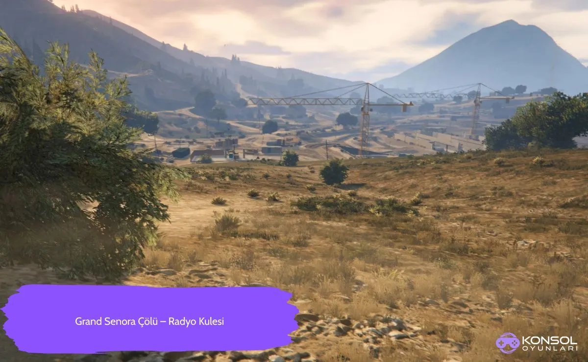 GTA 5 Ps4&Ps5 Peyote Bitkileri Konumu