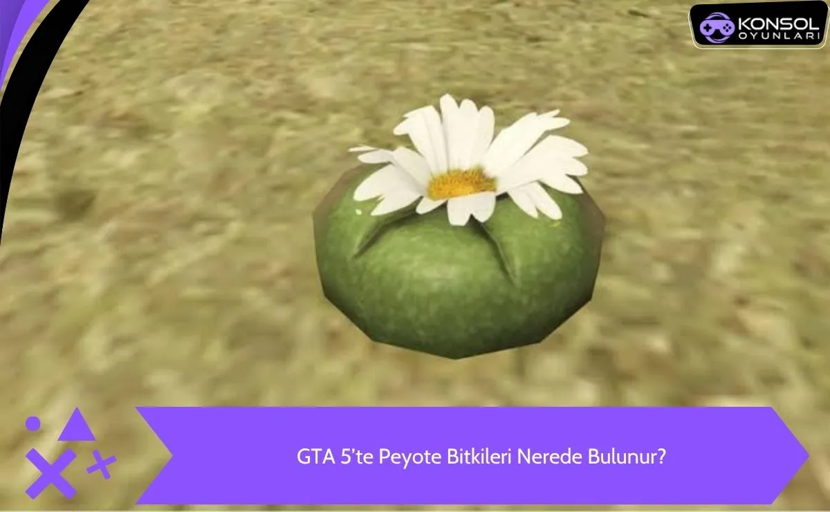 GTA 5 Ps4&Ps5 Peyote Bitkileri Konumu