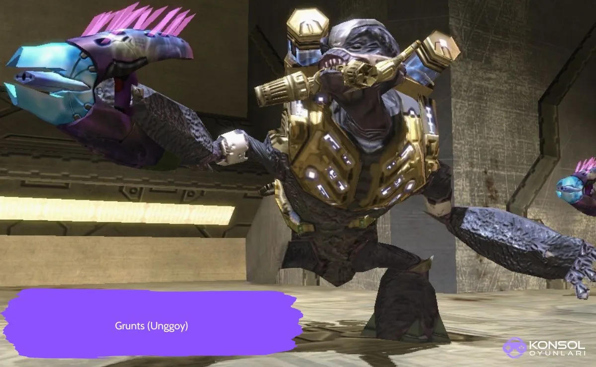 Halo Campaign Evolved Ps5 düşman türleri
