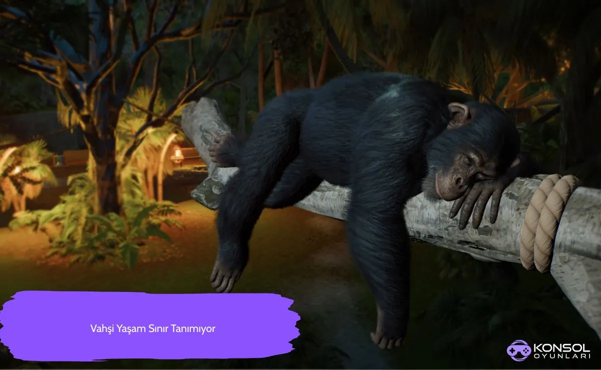 Planet Zoo 2 Ps5 en ucuz fiyatlarla